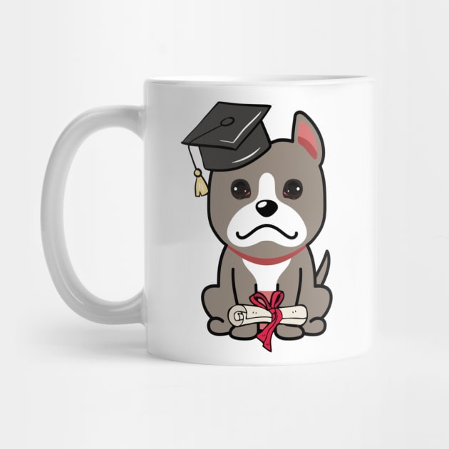 Cute grey dog is a graduate by Pet Station